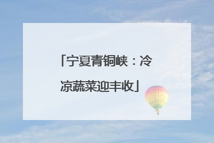 宁夏青铜峡：冷凉蔬菜迎丰收