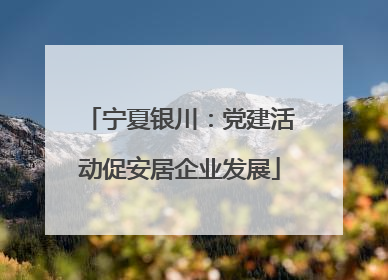 宁夏银川：党建活动促安居企业发展