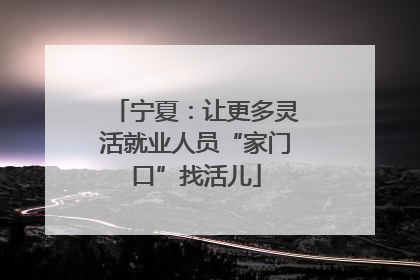 宁夏：让更多灵活就业人员“家门口”找活儿