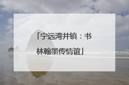 宁远湾井镇：书林翰墨传情谊