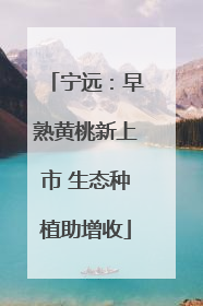 宁远：早熟黄桃新上市 生态种植助增收