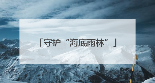 守护“海底雨林”