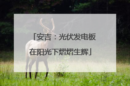 安吉：光伏发电板在阳光下熠熠生辉