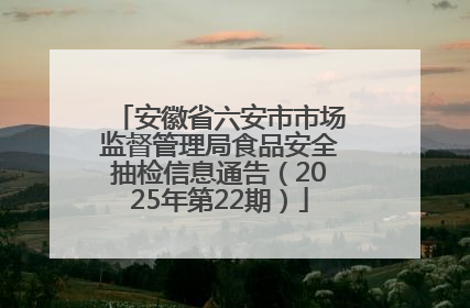 安徽省六安市市场监督管理局食品安全抽检信息通告（2025年第22期）