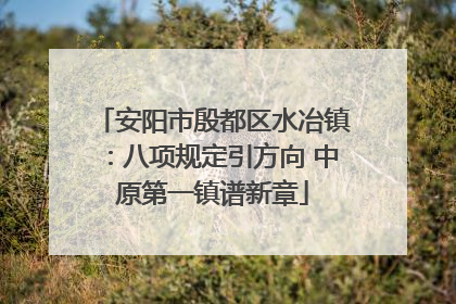 安阳市殷都区水冶镇：八项规定引方向 中原第一镇谱新章