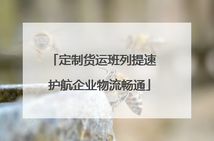 定制货运班列提速 护航企业物流畅通