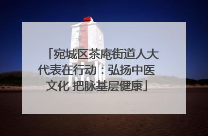 宛城区茶庵街道人大代表在行动：弘扬中医文化 把脉基层健康