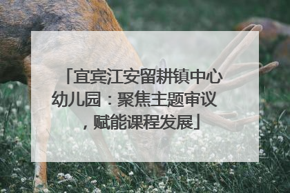 宜宾江安留耕镇中心幼儿园：聚焦主题审议，赋能课程发展