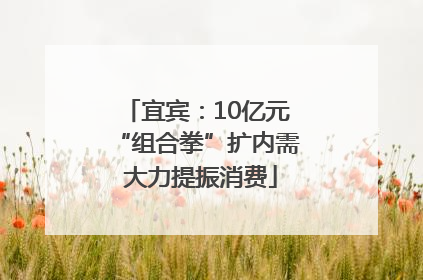 宜宾：10亿元“组合拳”扩内需 大力提振消费