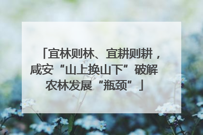 宜林则林、宜耕则耕，咸安“山上换山下”破解农林发展“瓶颈”