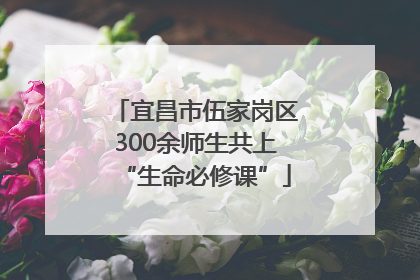 宜昌市伍家岗区300余师生共上“生命必修课”
