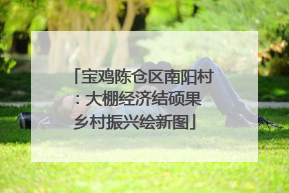 宝鸡陈仓区南阳村：大棚经济结硕果 乡村振兴绘新图