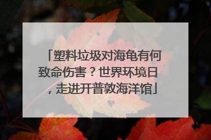 塑料垃圾对海龟有何致命伤害？世界环境日，走进开普敦海洋馆