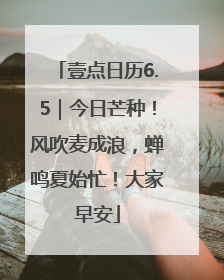 壹点日历6.5｜今日芒种！风吹麦成浪，蝉鸣夏始忙！大家早安
