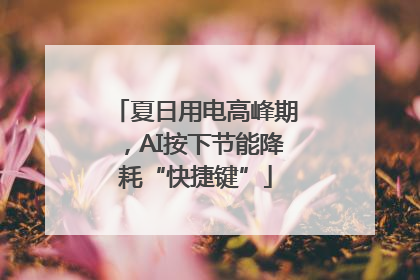 夏日用电高峰期，AI按下节能降耗“快捷键”