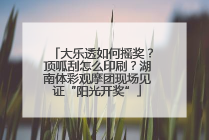大乐透如何摇奖？顶呱刮怎么印刷？湖南体彩观摩团现场见证“阳光开奖”