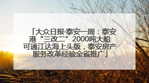 大众日报·泰安一周：泰安港“三改二”2000吨大船可通江达海上头版，泰安房产服务改革经验全省推广
