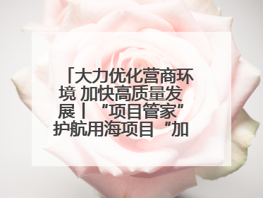 大力优化营商环境 加快高质量发展丨“项目管家”护航用海项目“加速跑”