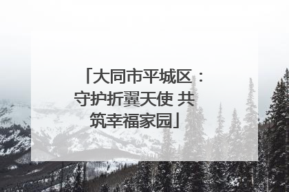 大同市平城区：守护折翼天使 共筑幸福家园