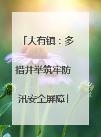 大有镇：多措并举筑牢防汛安全屏障
