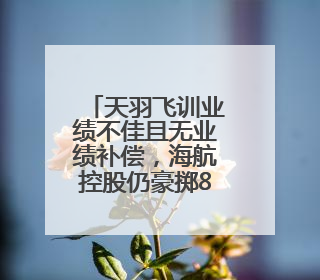 天羽飞训业绩不佳且无业绩补偿，海航控股仍豪掷8亿收购丨一周市场观察