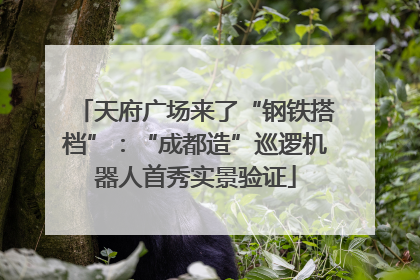 天府广场来了“钢铁搭档”：“成都造”巡逻机器人首秀实景验证