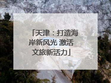 天津：打造海岸新风光 激活文旅新活力