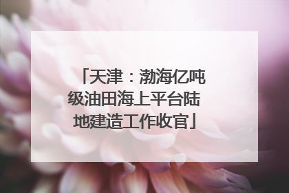 天津：渤海亿吨级油田海上平台陆地建造工作收官