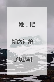 她，把新房让给了斑鸠