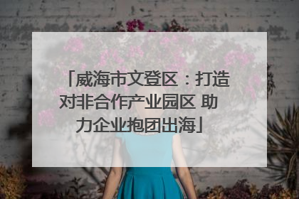 威海市文登区：打造对非合作产业园区 助力企业抱团出海