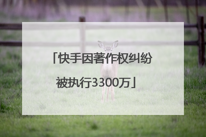 快手因著作权纠纷被执行3300万