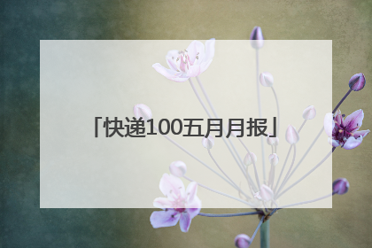 快递100五月月报