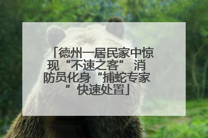 德州一居民家中惊现“不速之客” 消防员化身“捕蛇专家”快速处置