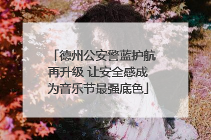 德州公安警蓝护航再升级 让安全感成为音乐节最强底色