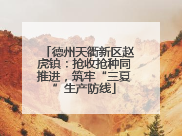 德州天衢新区赵虎镇：抢收抢种同推进，筑牢“三夏”生产防线