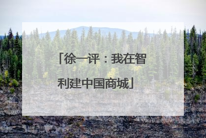 徐一评：我在智利建中国商城