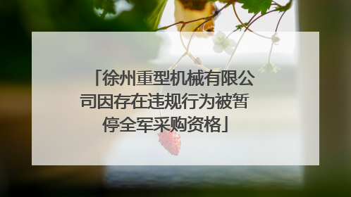 徐州重型机械有限公司因存在违规行为被暂停全军采购资格