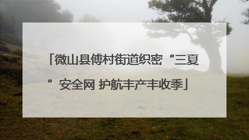 微山县傅村街道织密“三夏”安全网 护航丰产丰收季