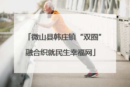 微山县韩庄镇“双圈”融合织就民生幸福网