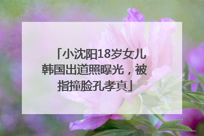 小沈阳18岁女儿韩国出道照曝光，被指撞脸孔孝真