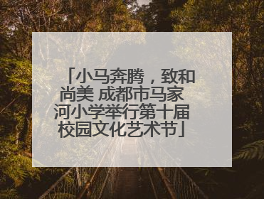 小马奔腾，致和尚美 成都市马家河小学举行第十届校园文化艺术节