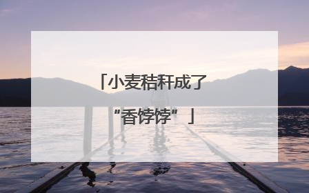 小麦秸秆成了“香饽饽”