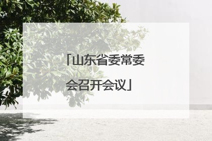山东省委常委会召开会议