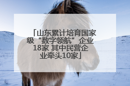 山东累计培育国家级“数字领航”企业18家 其中民营企业牵头10家