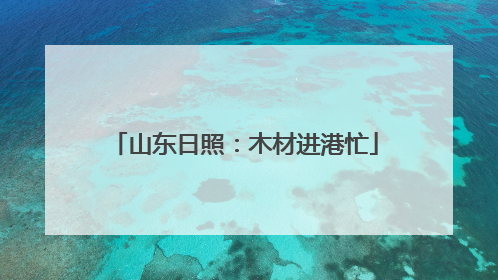 山东日照：木材进港忙