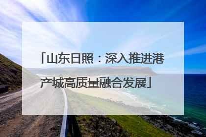 山东日照：深入推进港产城高质量融合发展