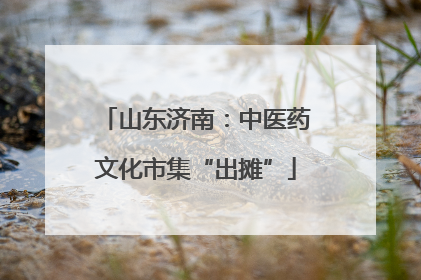 山东济南：中医药文化市集“出摊”