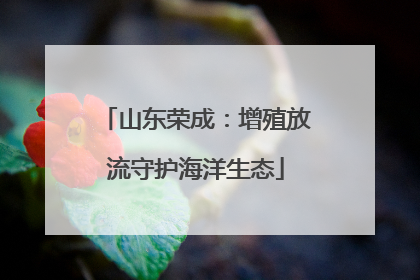 山东荣成：增殖放流守护海洋生态