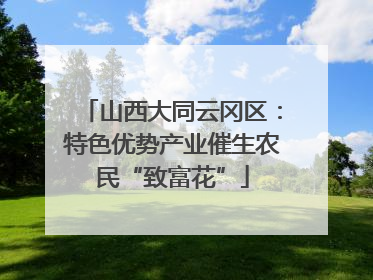 山西大同云冈区：特色优势产业催生农民“致富花”