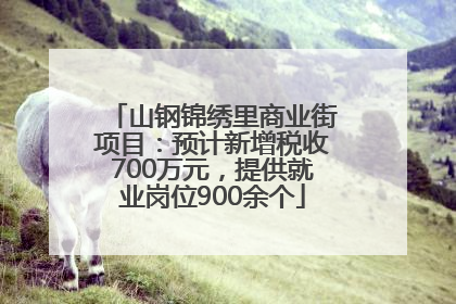 山钢锦绣里商业街项目：预计新增税收700万元，提供就业岗位900余个